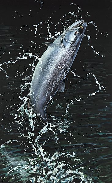 Atlantic Acrobat - Atlantic Salmon by Curtis Atwater